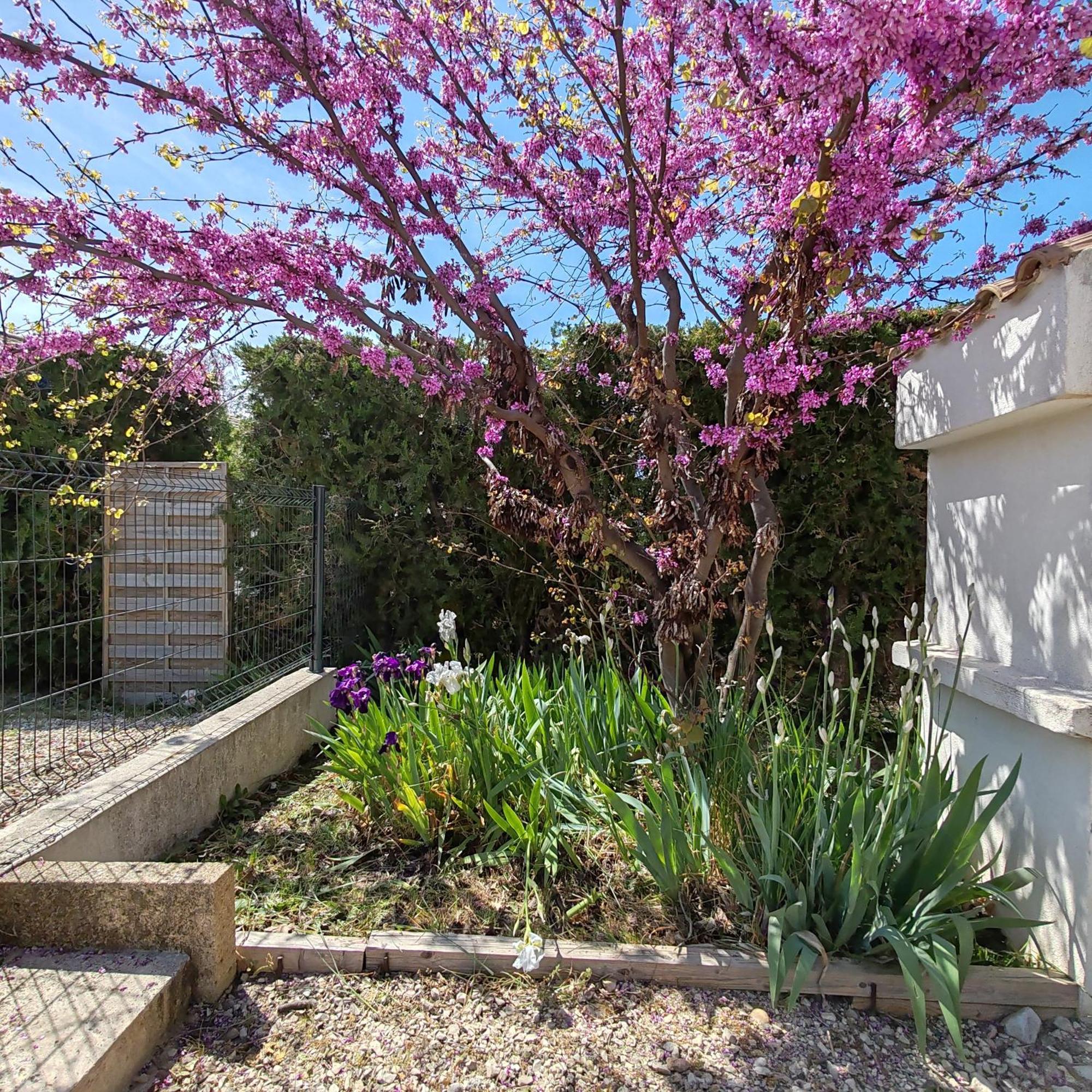 la maison de celine Beaumes-de-Venise Extérieur photo